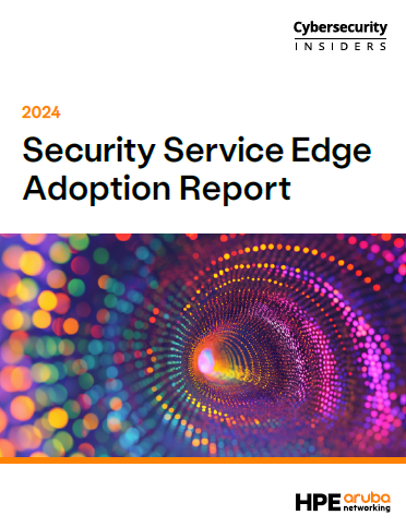 SSE Adoption report 2024